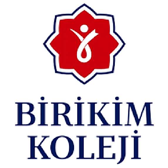 Birikim Koleji
